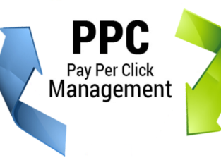 Best PPC Services in Delhi India