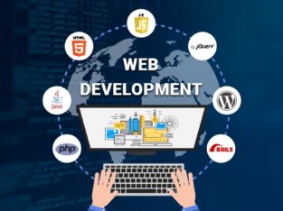 Best Web Development Company in Delhi NCR