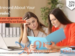 Assignment help / Dissertation writing services