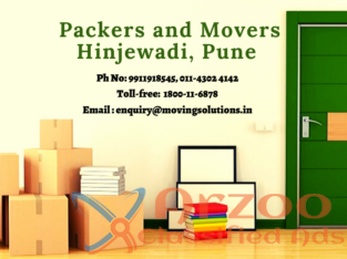 Professional Packers and Movers in Hinjewadi, Pune