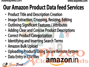 Amazon Store Setup and Management Services