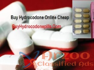 Buy Hydrocodone Online Cheap