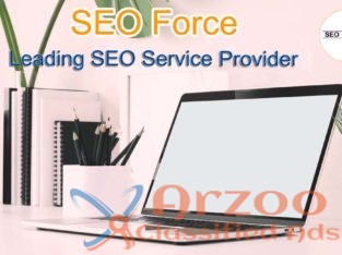 SEO Company in Salem – SEO Force