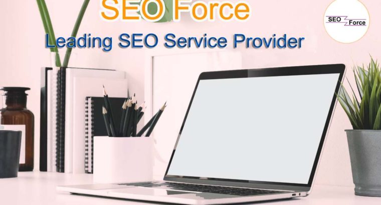 SEO Company in Salem – SEO Force