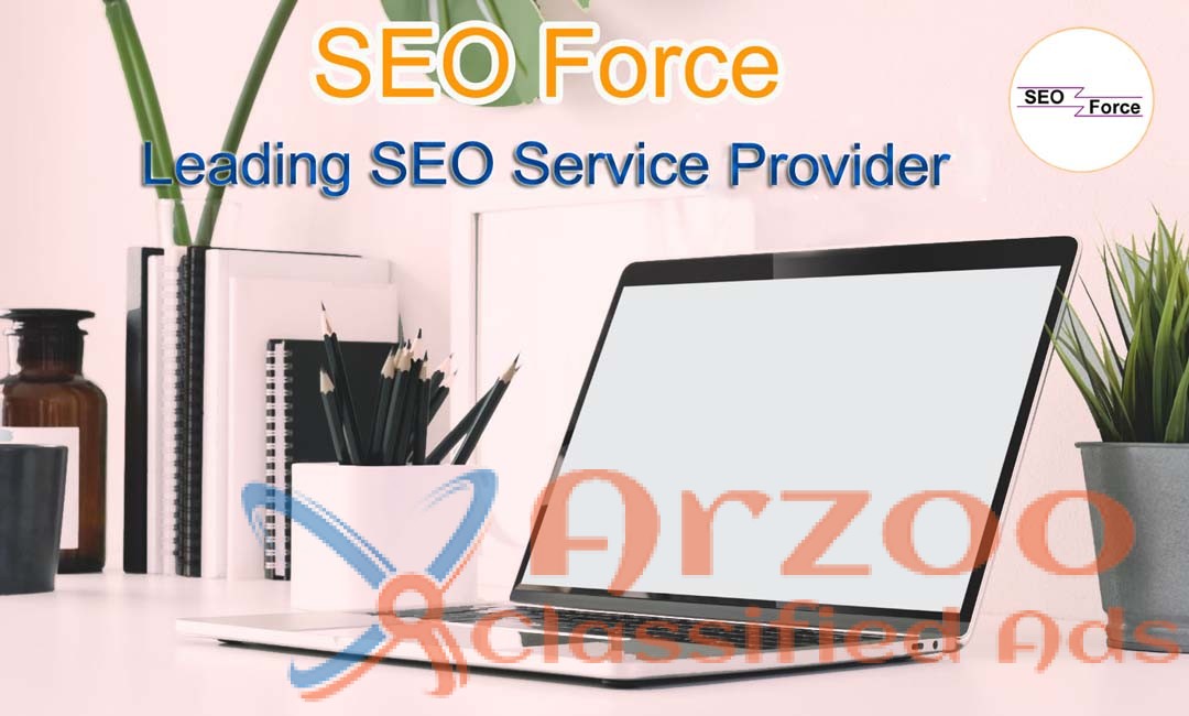 SEO Company in Salem – SEO Force