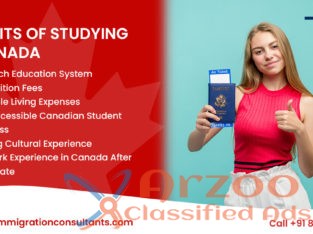 Best Canada Immigration Consultants In Goa – TIC