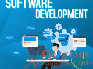 Software Development Company India