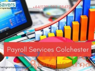 Look For The Payroll Services Colchester