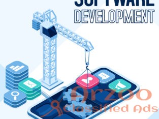 custom software development services India