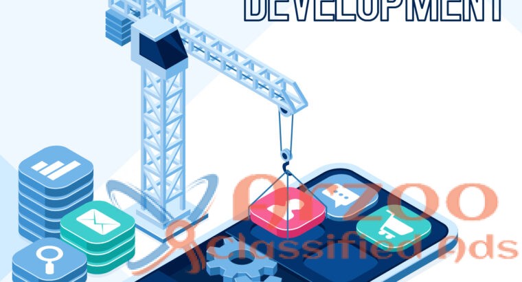 custom software development services India