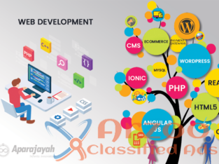 Best Web Development Company – Aparajayah