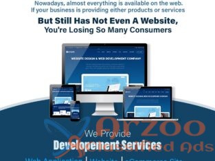 web development service in India