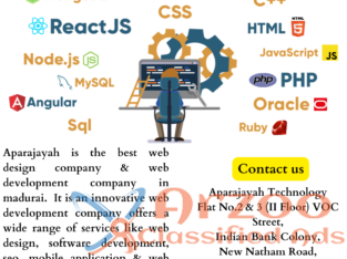 Web Development Company – Aparajayah