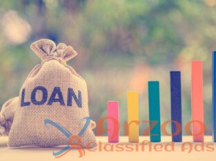 BUSINESS LOANS AND FINANCING LOANS