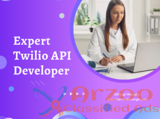 Expert Twilio API Developer