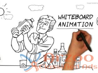 The best whiteboard animation video services | Doo