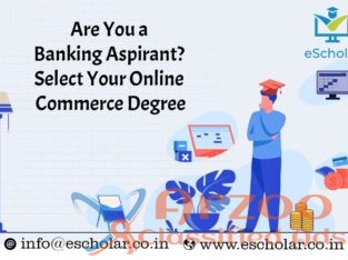 Are You a Banking Aspirant? Select Your Online Com