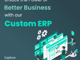 Custom ERP Software Development