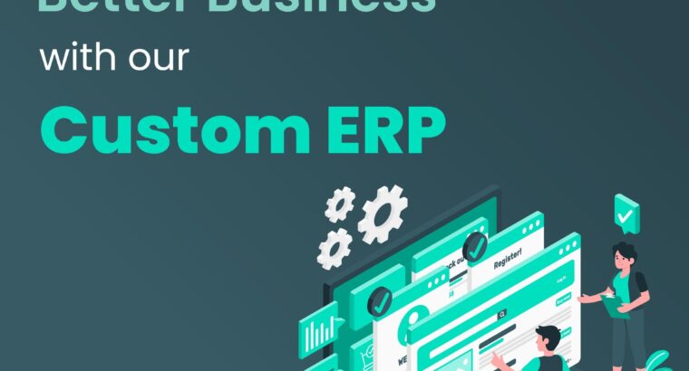 Custom ERP Software Development