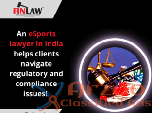 An eSports lawyer in India helps clients navigate