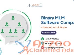 Binary MLM Software Company in Chennai