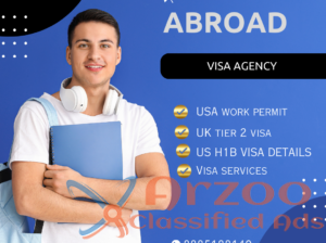 Best visa consutancy services