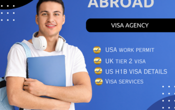 Best visa consutancy services