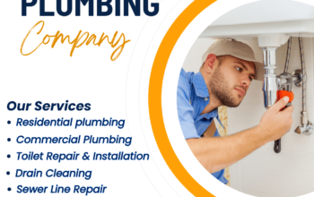 Professional Plumbing Service in Seattle