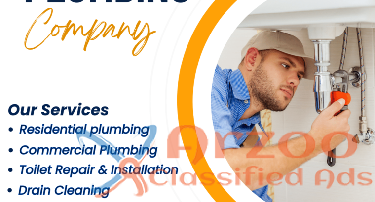 Professional Plumbing Service in Seattle