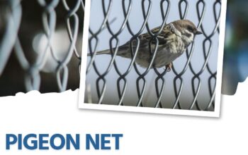 Pigeon Net Serivces Near Me | Pigeon Net For Balco