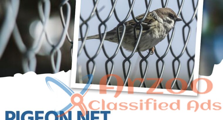 Pigeon Net Serivces Near Me | Pigeon Net For Balco