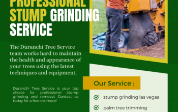 Affordable Stump Grinding & Removal Services